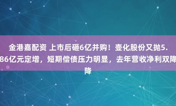 金港嘉配资 上市后砸6亿并购！壶化股份又抛5.86亿元定增，短期偿债压力明显，去年营收净利双降