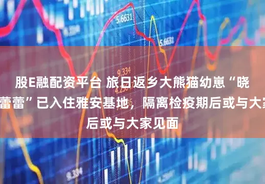 股E融配资平台 旅日返乡大熊猫幼崽“晓晓”“蕾蕾”已入住雅安基地，隔离检疫期后或与大家见面